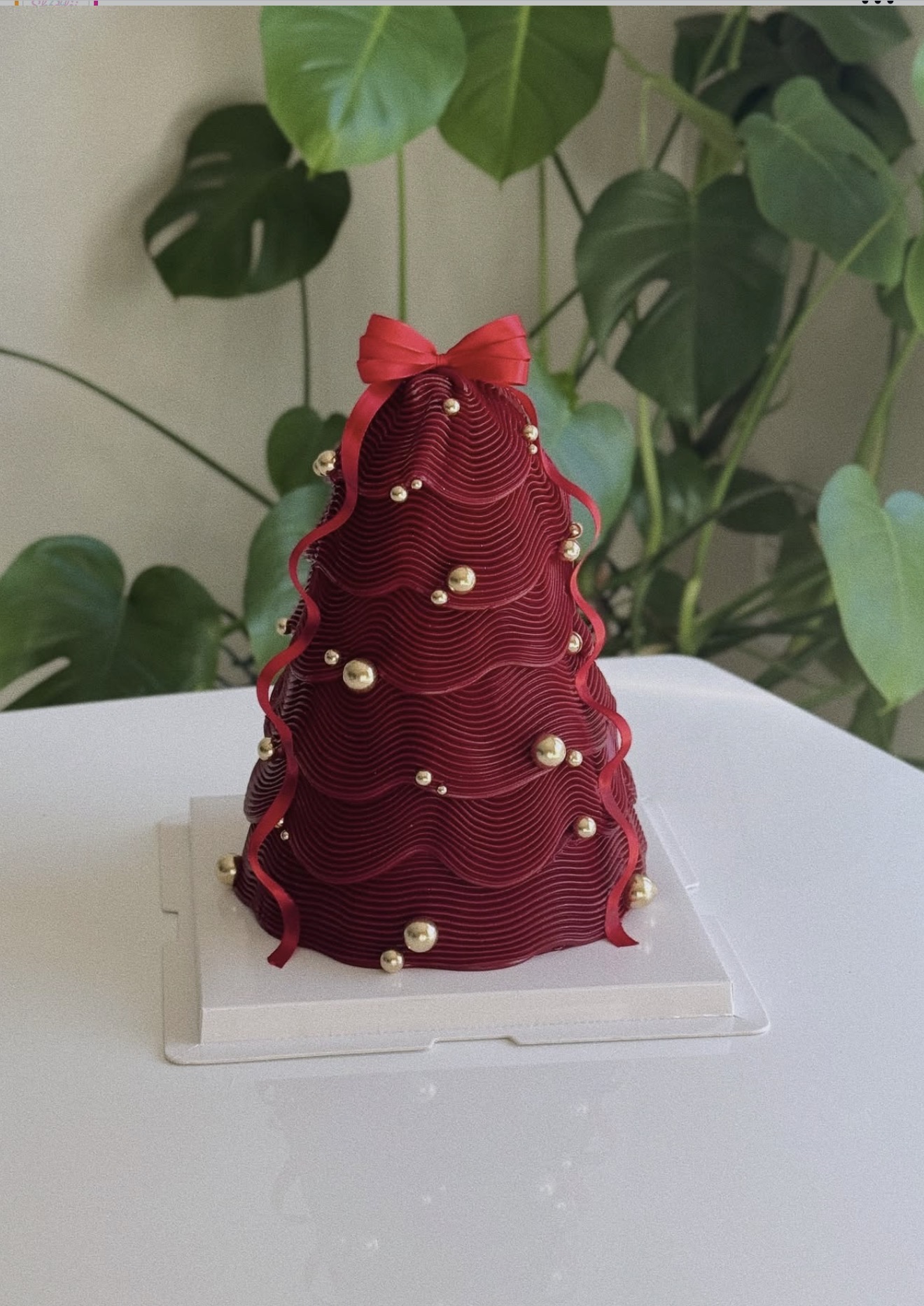 Coquette cake by Shaddai