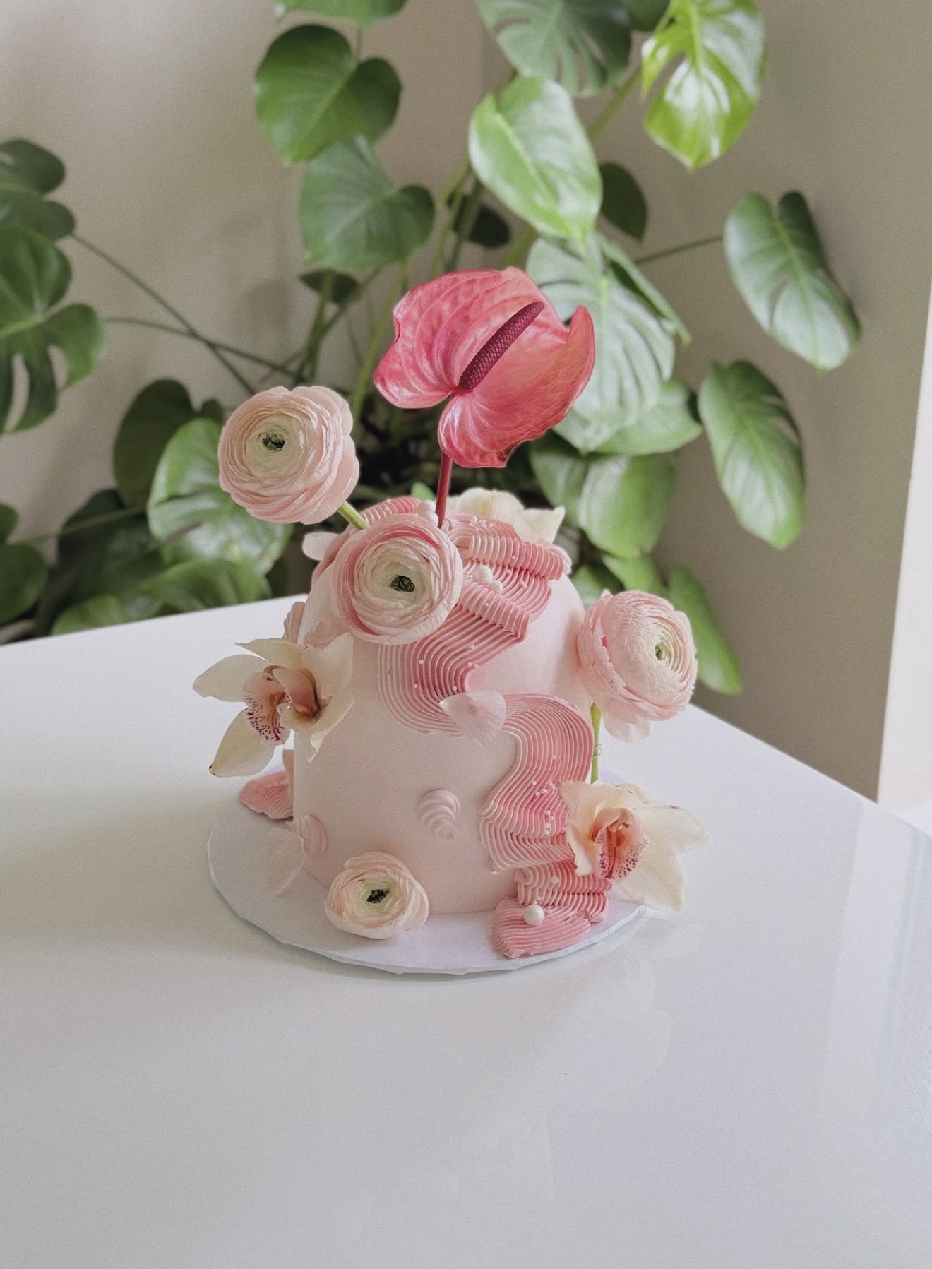 Coquette cake by Shaddai